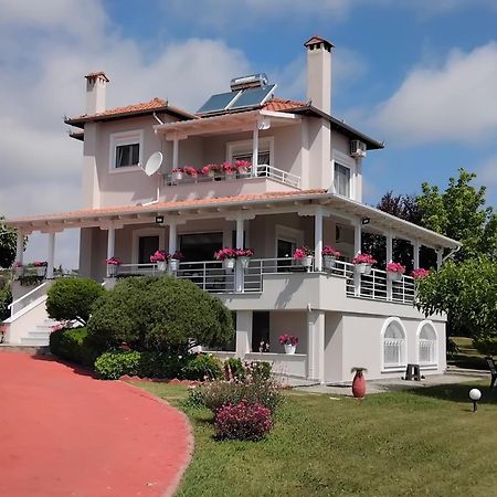 Villa Tammy'S Garden House à Leptokaryá Extérieur photo