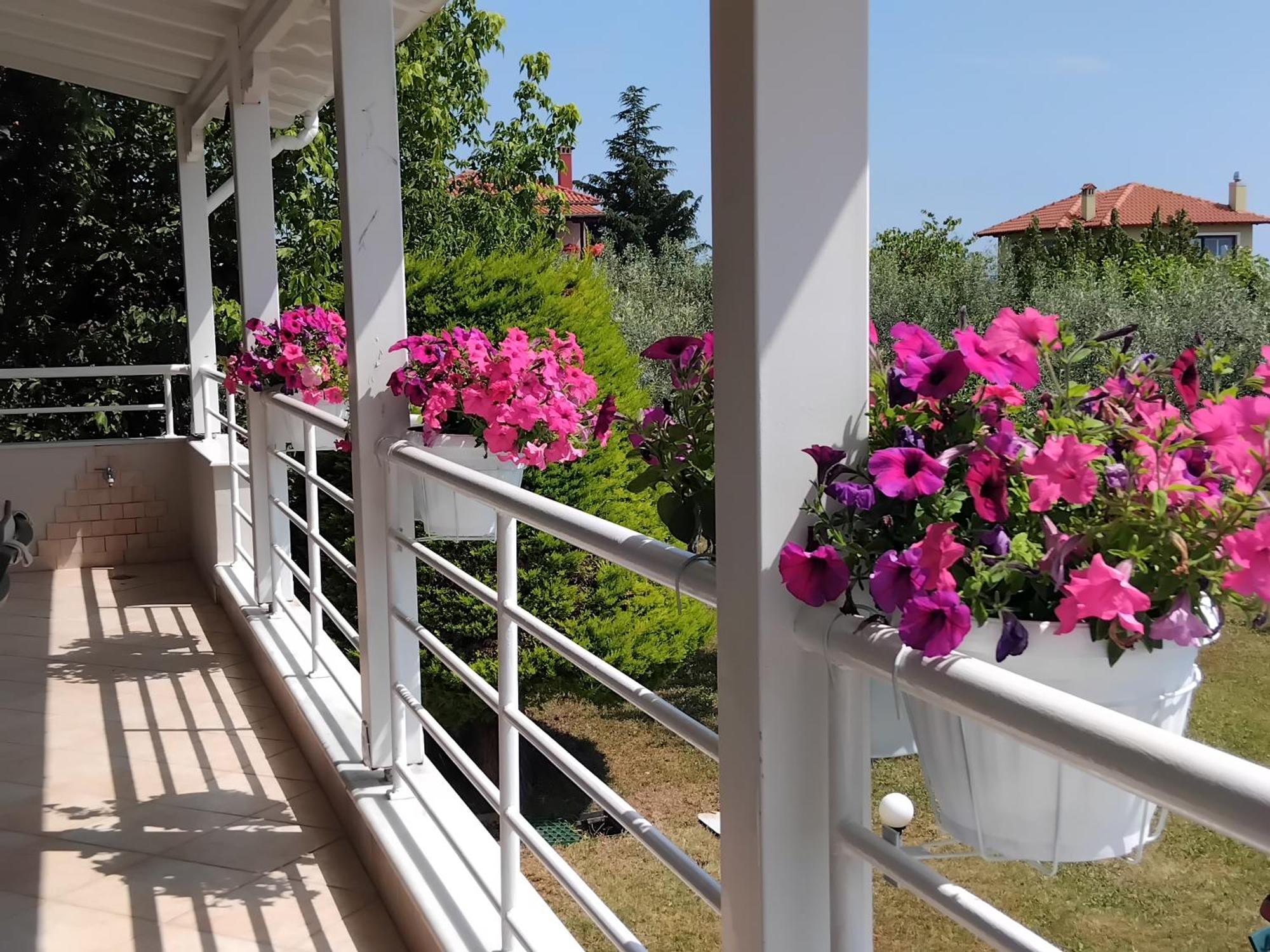Villa Tammy'S Garden House à Leptokaryá Extérieur photo
