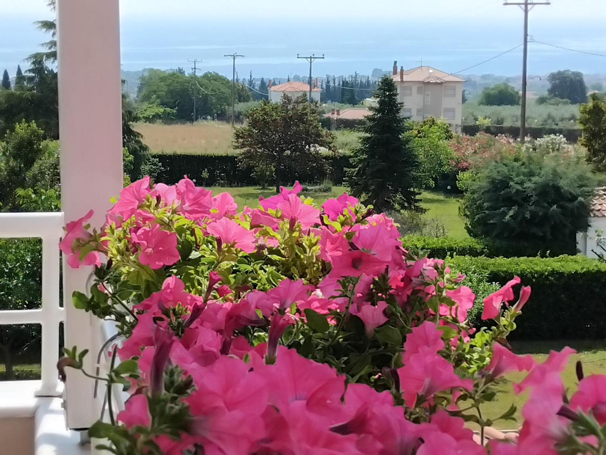 Villa Tammy'S Garden House à Leptokaryá Extérieur photo