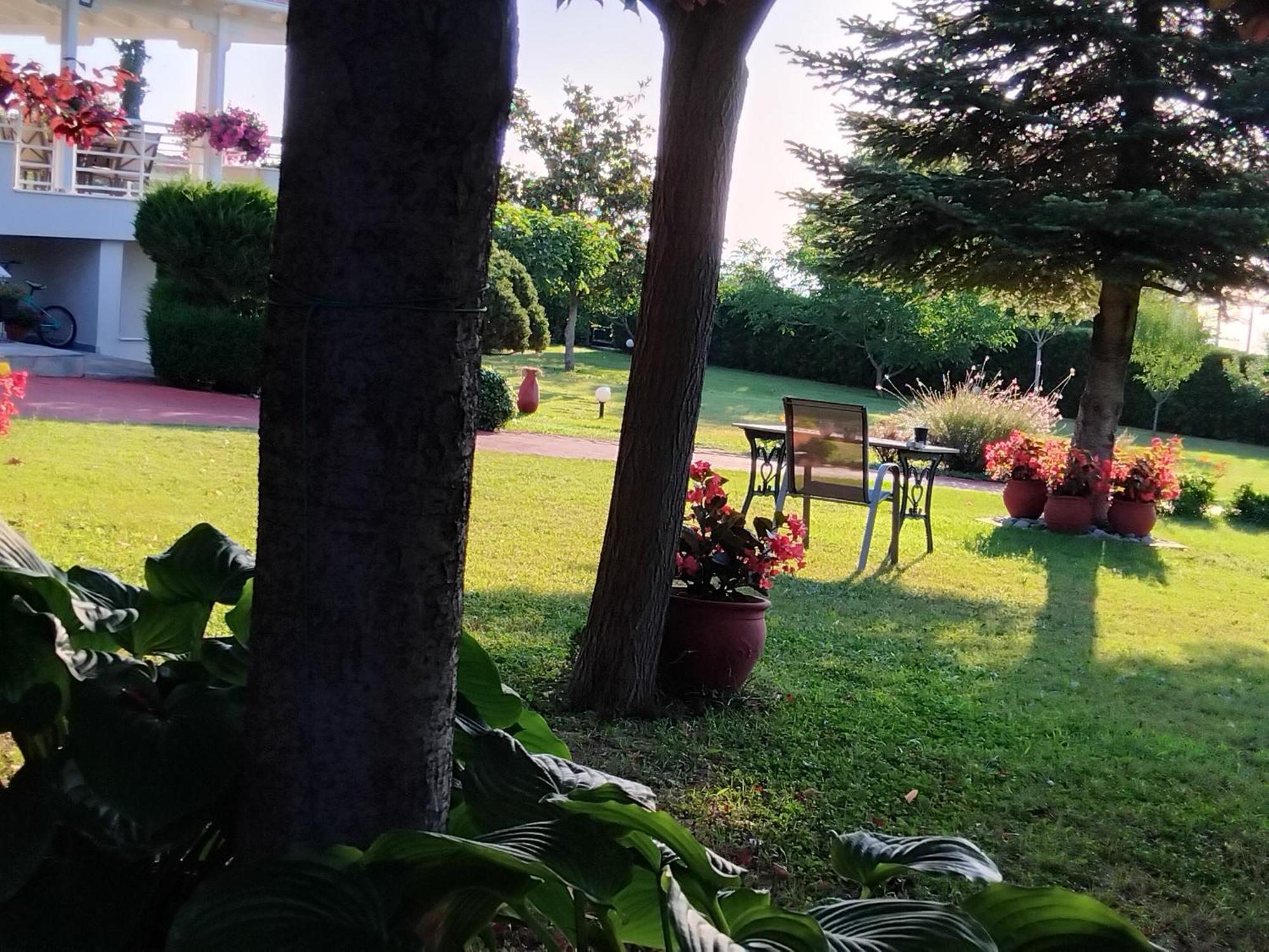 Villa Tammy'S Garden House à Leptokaryá Extérieur photo